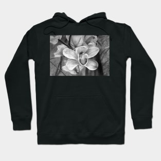 Orchids - Drawing by Avril Thomas - Adelaide / South Australia Artist Hoodie